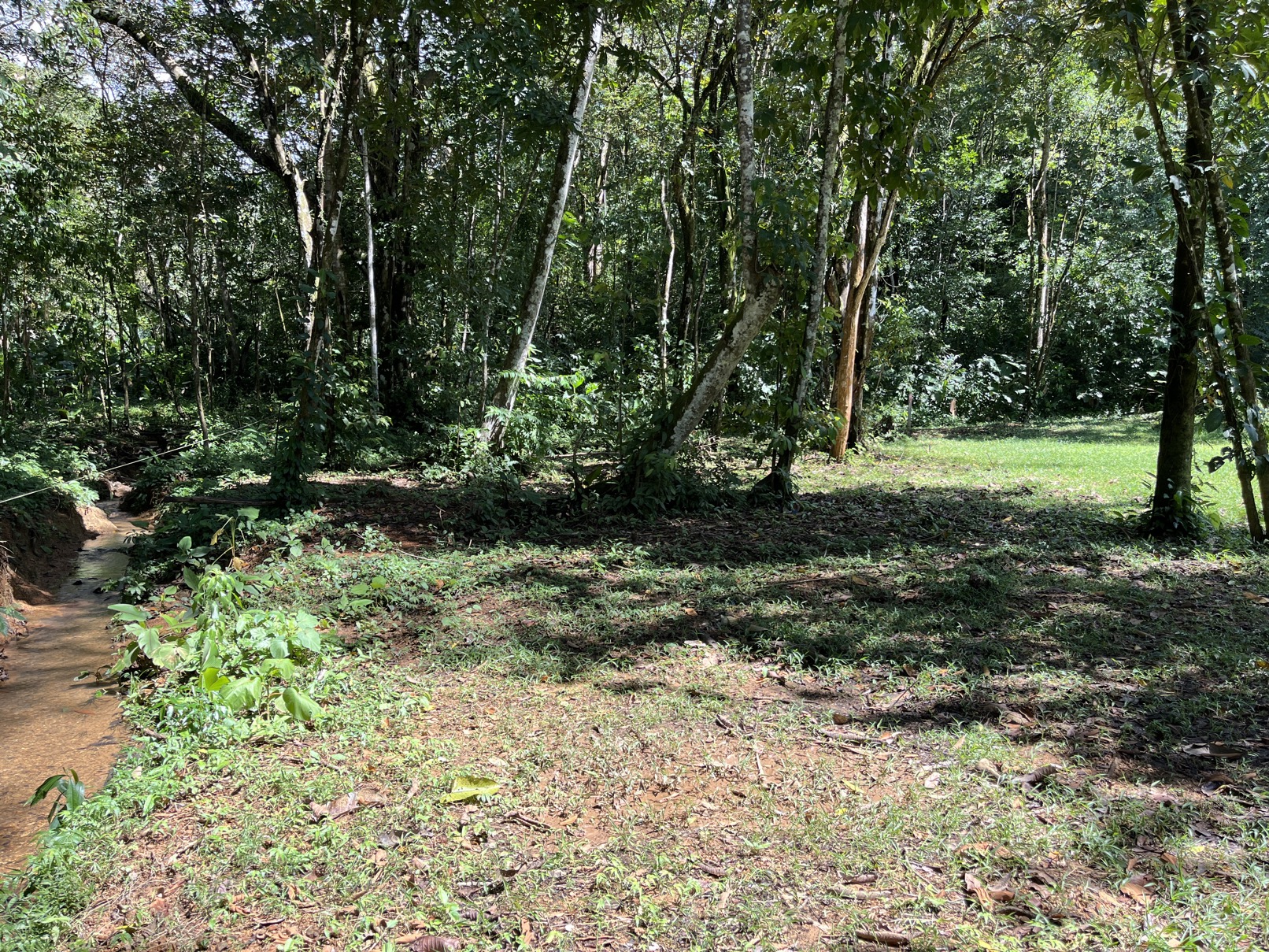 Flat Lot in Tortuga: Your Dream Project Awaits selected