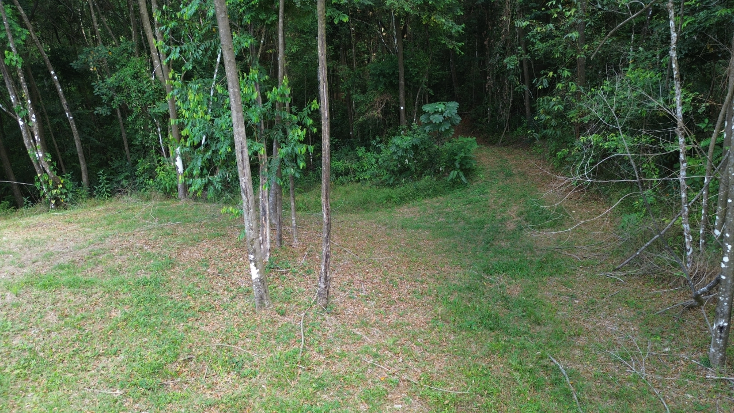 Your Private Jungle Retreat Just Minutes from Dominical selected