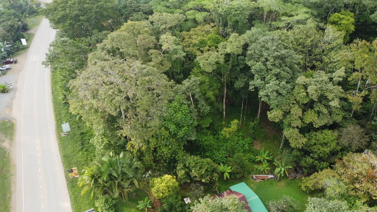 Prime Commercial Property In Uvita selected