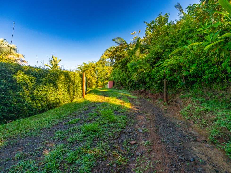 Spectacular Ocean View Parcel in Uvita’s Premier Hillside Community selected