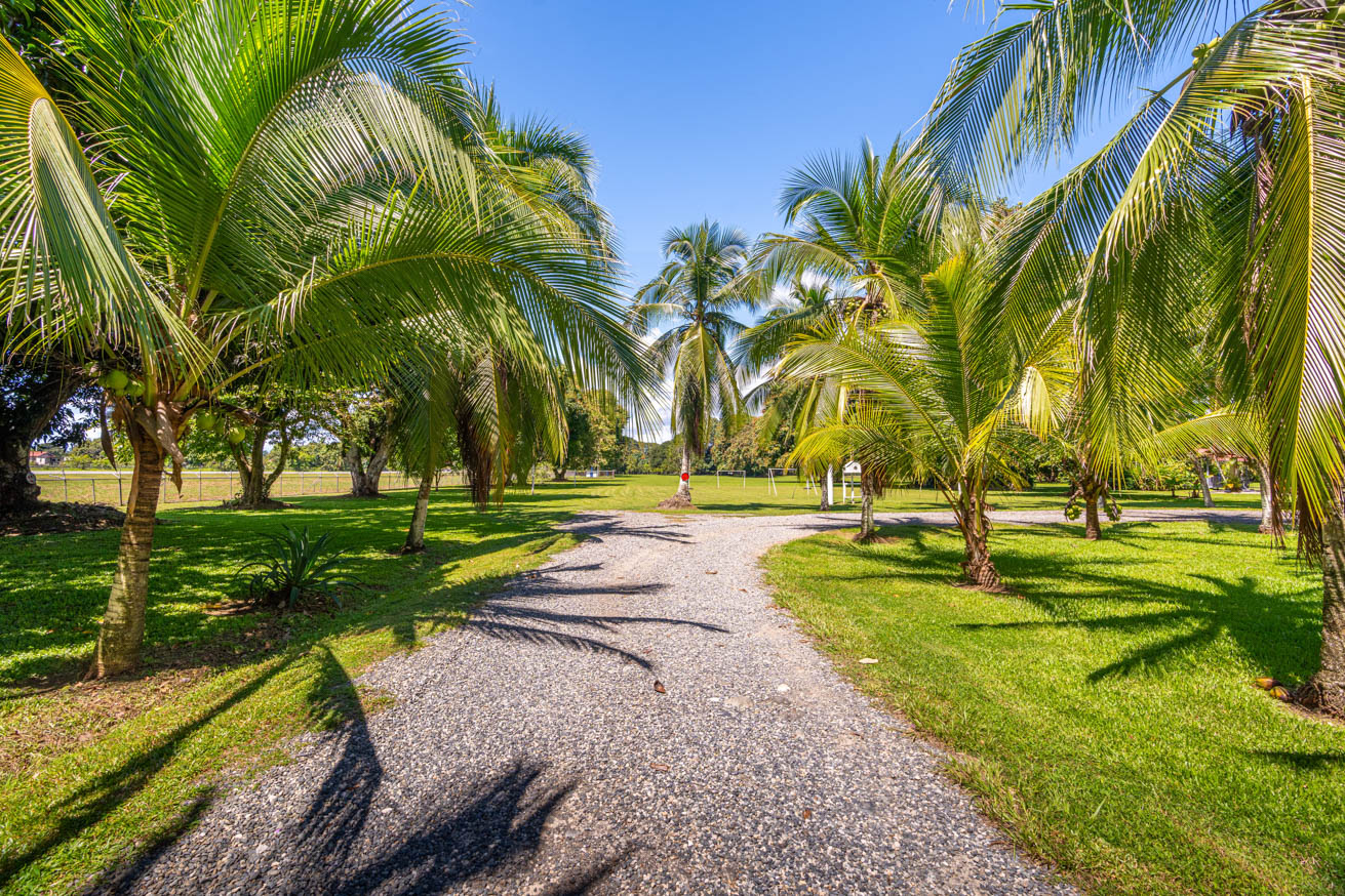 13.4 Acres of Prime Development Land with Direct Airport Access in Palmar Sur selected