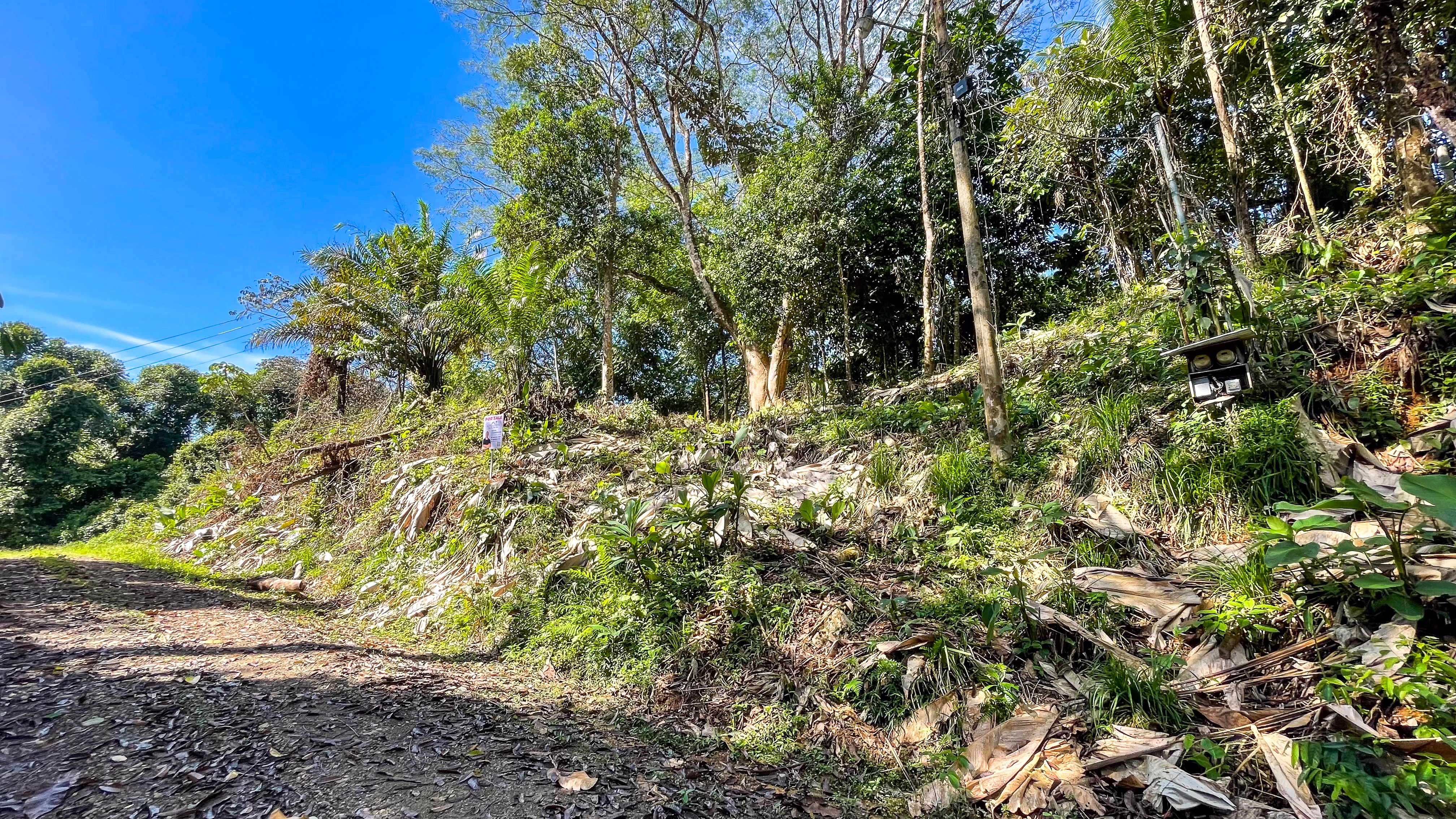 Tucked-Away Jungle Lot at the End of a Quiet Road — Ojochal, Costa Rica selected