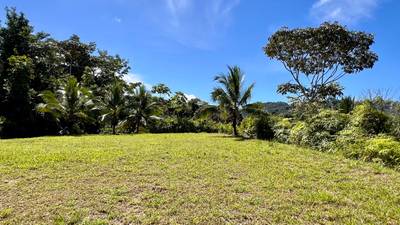Exceptional Large Multi-Building Site Lot in Tres Ríos image 2