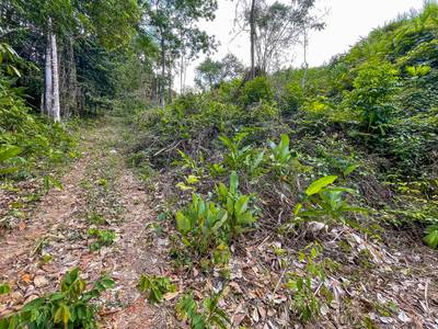 Excellent Dream Home Or Mini-Development Opportunity: 2.2-Acre Ocean View Property in Ojochal, Costa Rica image 3