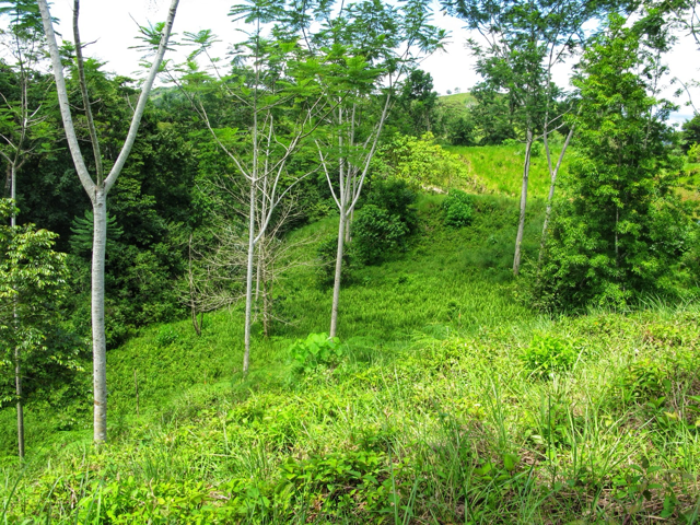 Exclusive Two-Lot Oasis in Gated Paradise – Build Your Dream Estate selected