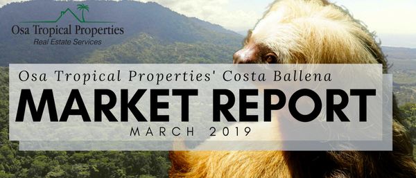 Continued Growth Predicted For Costa Ballena Real Estate Market