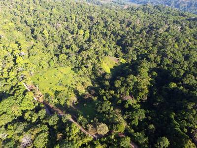 Expansive Escaleras Estate with Ocean Views, Jungle, and Development Potential image 4