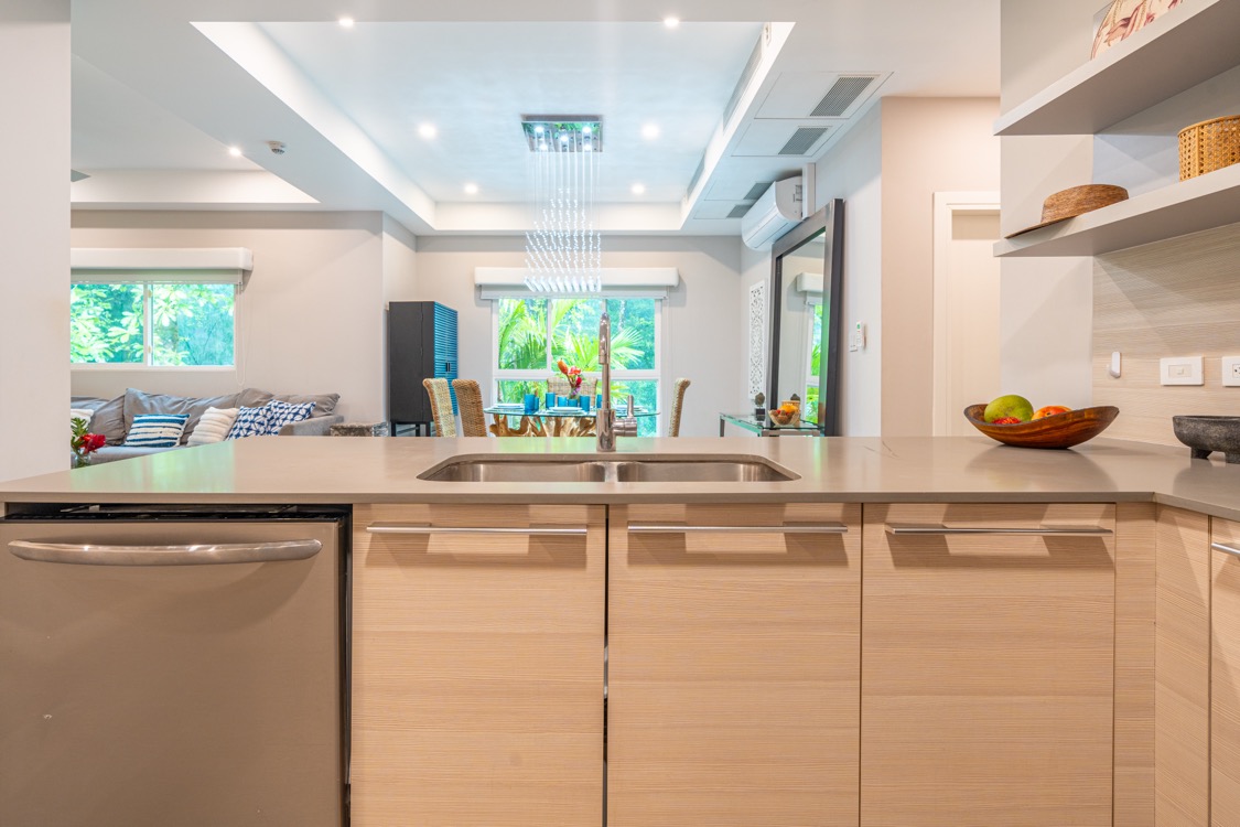 Exclusive Beachfront Penthouse – The Most Private Residence at Elan selected