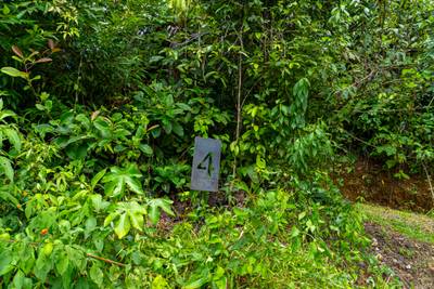 1.5 Acres with Mountain in San Buenas image 3