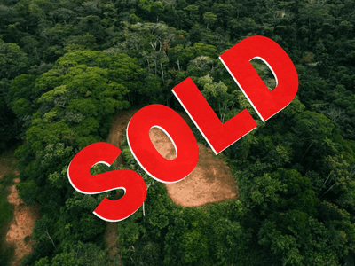 1.3 Acres Ocean View Lot In Uvita image 1