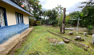 2.9 ACRES – Tons of Fruit Trees, 3 Bedroom Tico Home Plus Bodega In Tinamastes selected