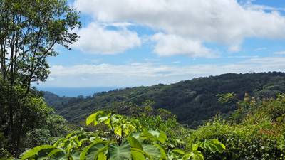 Jungle Canopy Retreat with Ocean View image 3
