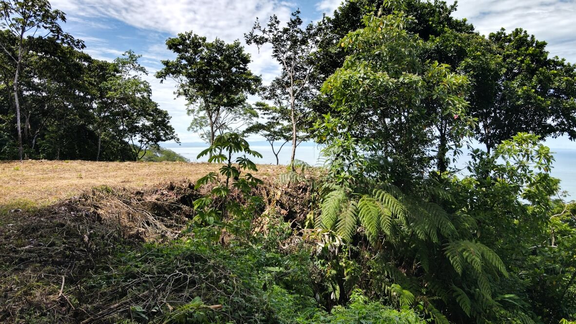 Whale's Tail and Ocean View lot for Sale in Costa Verde, Escaleras, Costa Rica selected