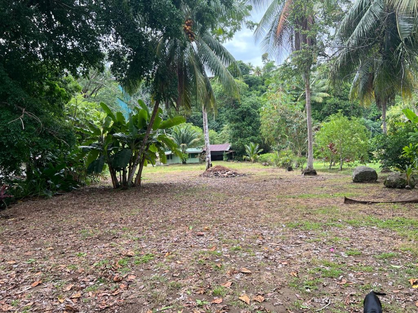 Highway Frontage Coastal Property with Residential & Business Potential selected