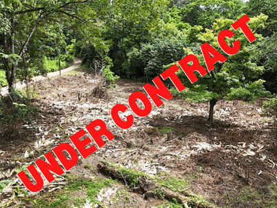 3.5 Acres with River Frontage in Tres Ríos image 1