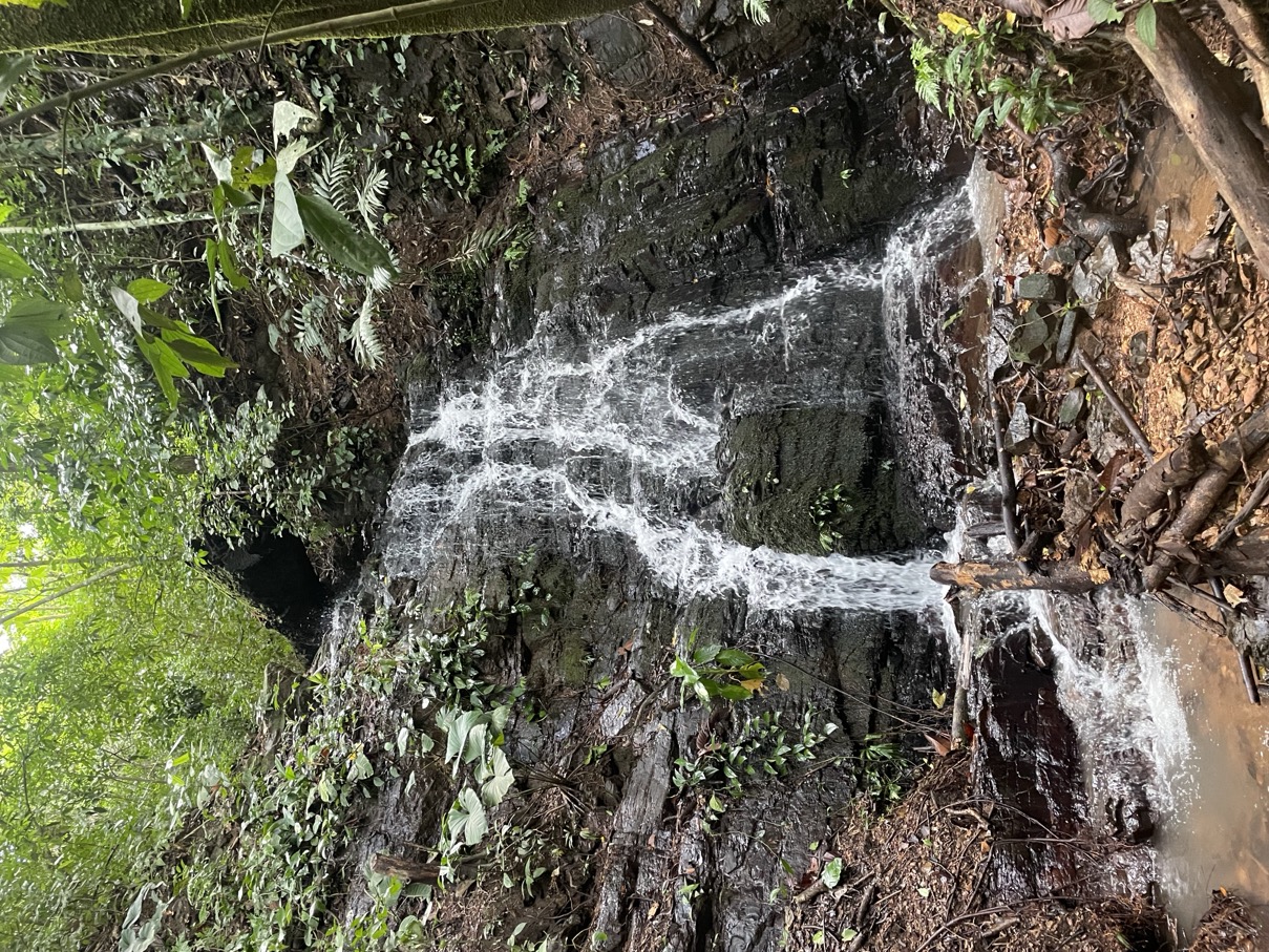 61.78 Acres of Oceanview Bliss with Private Waterfall in Tres Rios selected