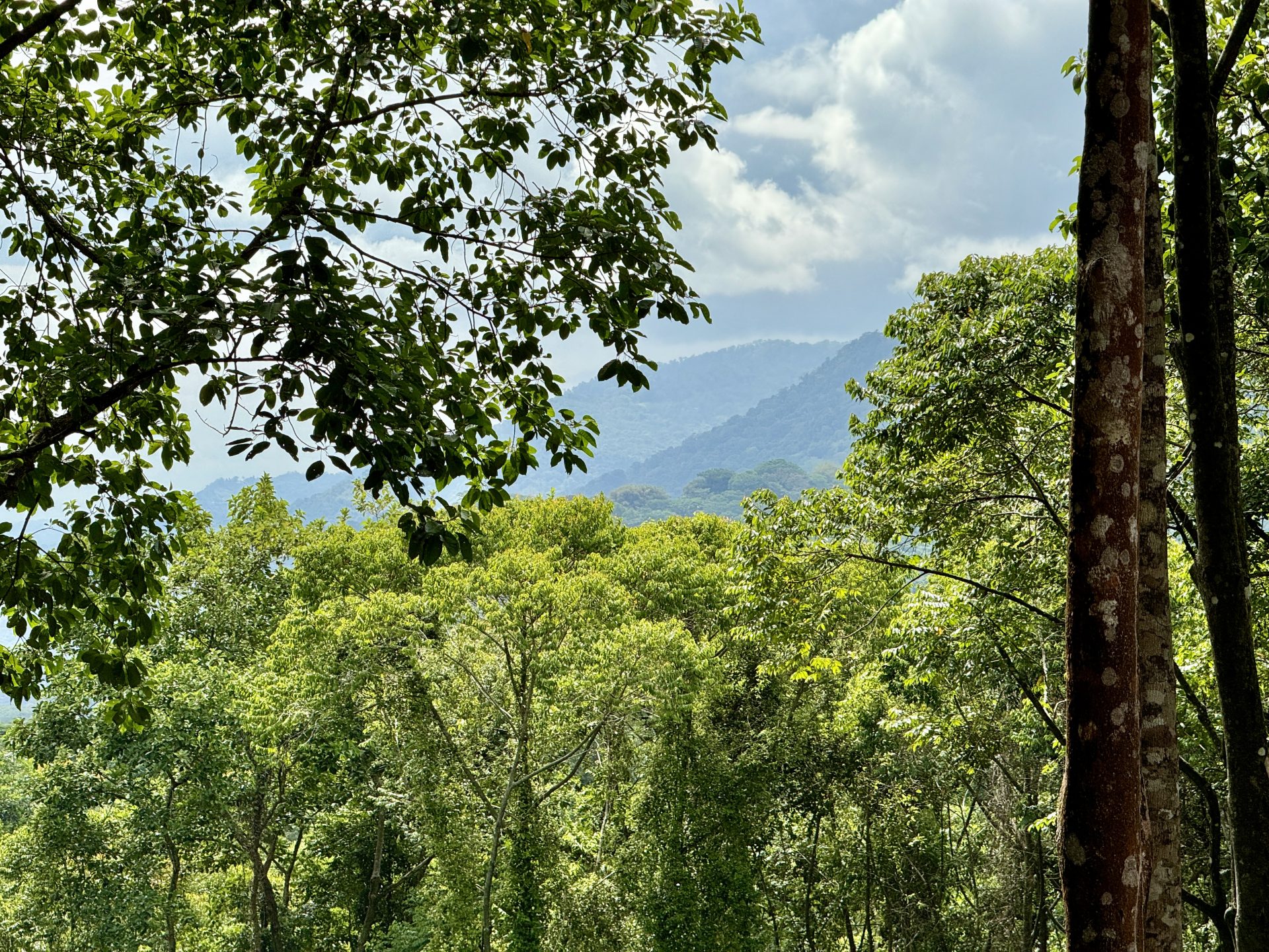 Exceptional 5.11-Acre Property in Lagunas selected