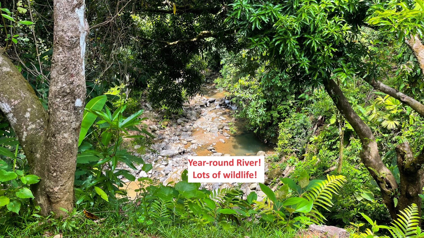 Luxury Ocean View Home with Chic Riverfront Cabins selected