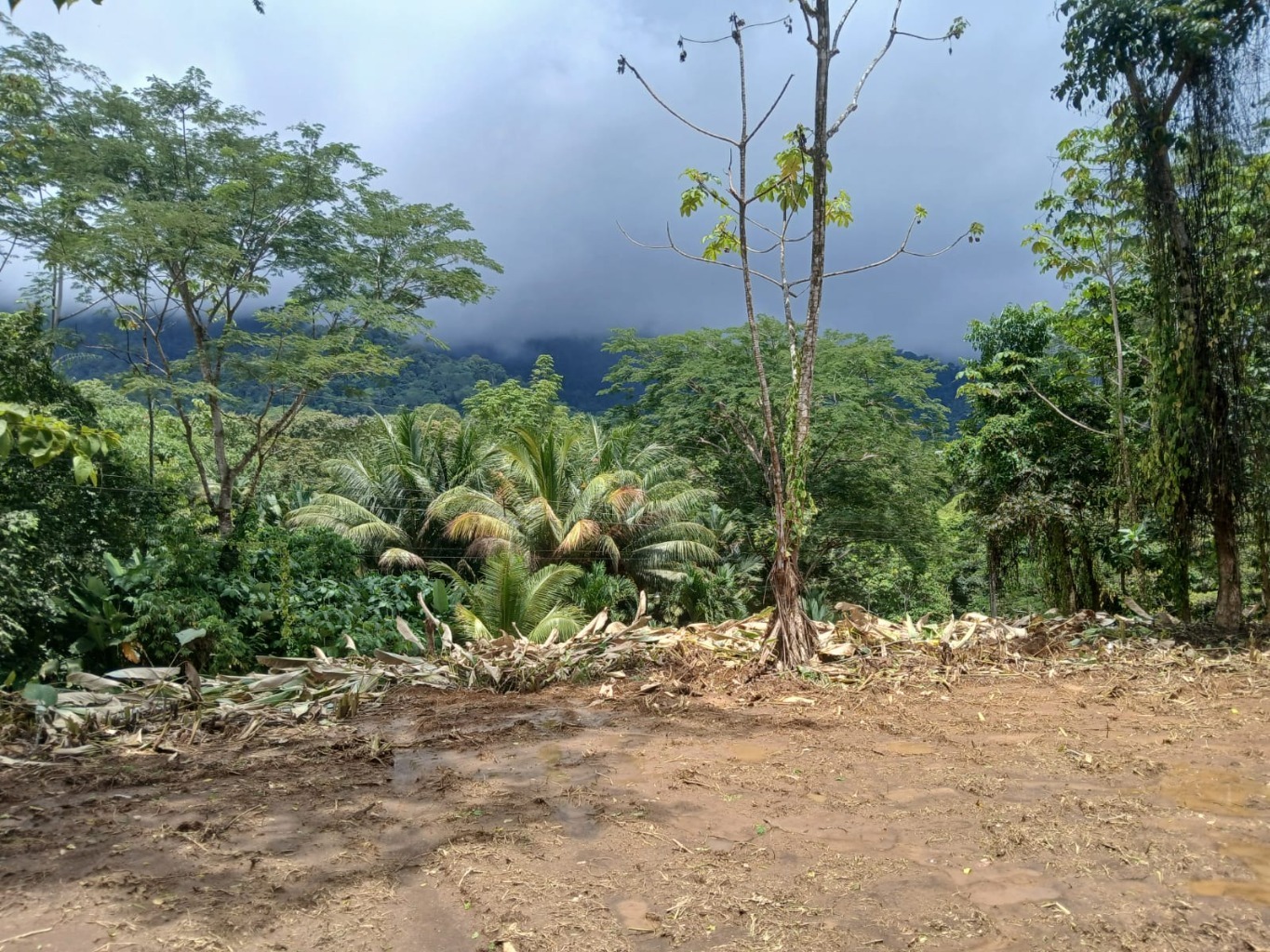 1.14-Acre Ocean View Estate Lot | Phase 5, Ojochal selected