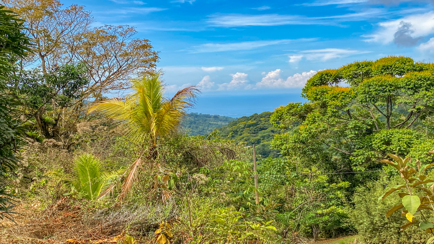 1.5 Acre Ocean & Mountain View Lot Near Uvita | Legal Water & Privacy selected