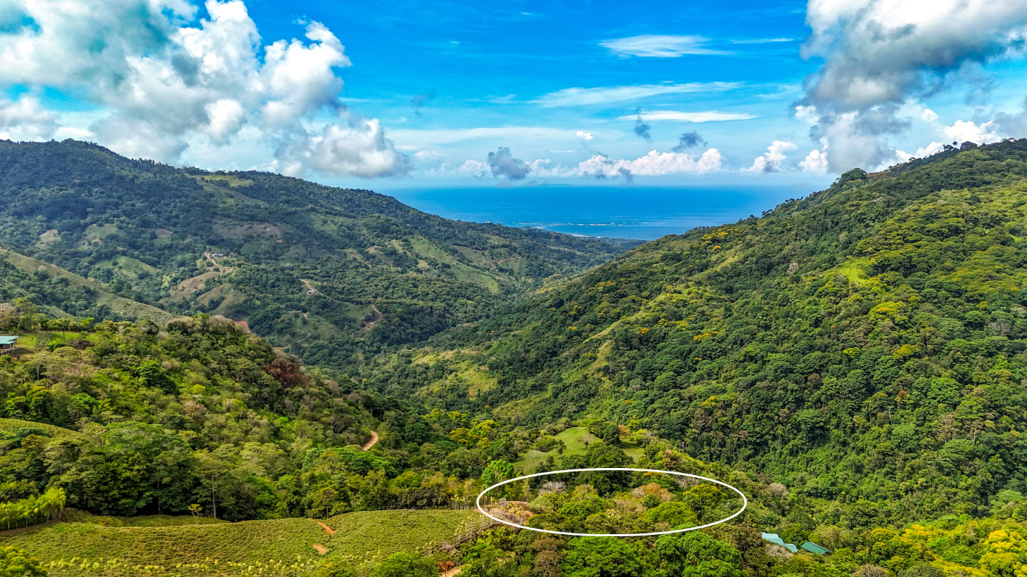 1.5 Acre Ocean & Mountain View Lot Near Uvita | Legal Water & Privacy selected
