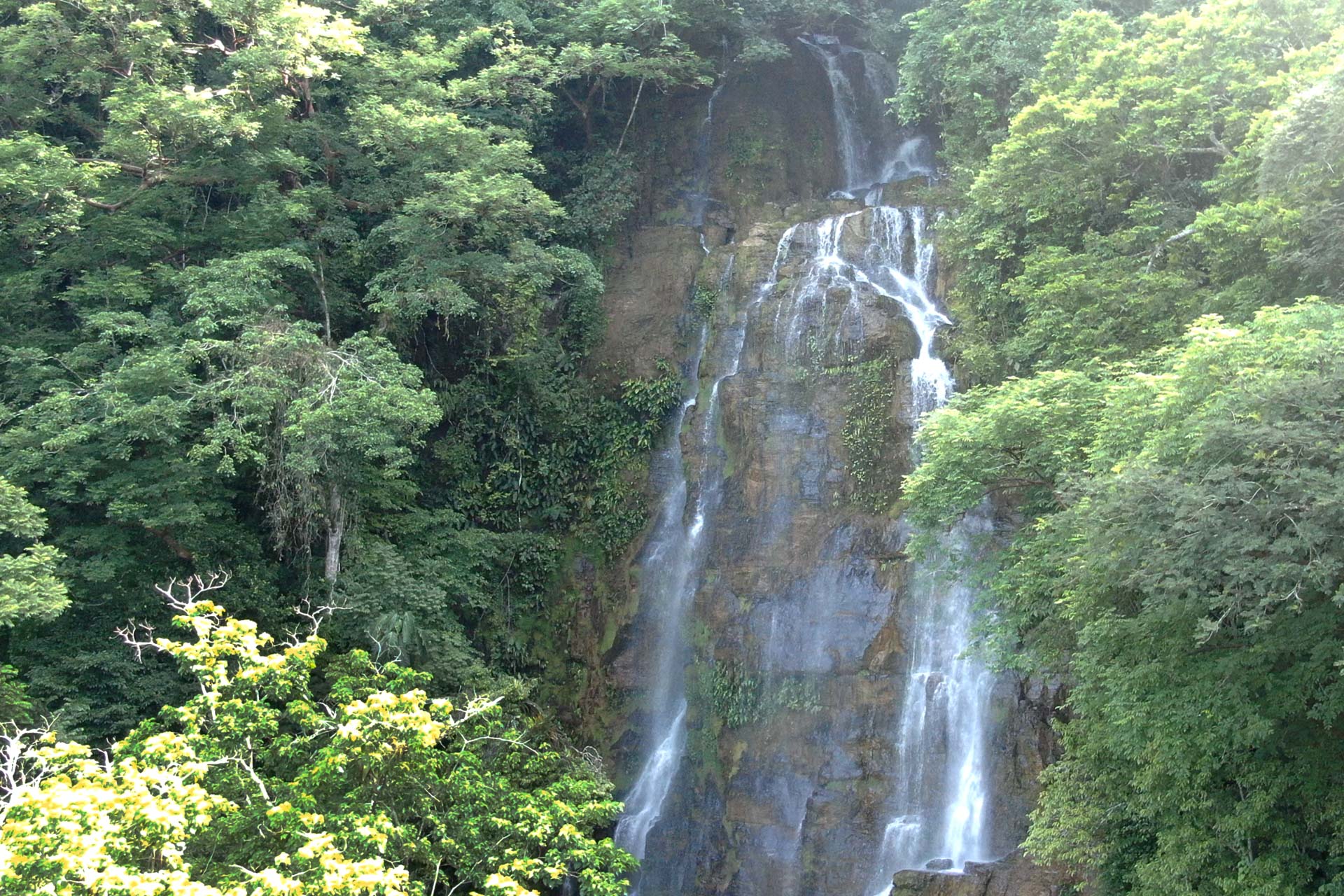 Luxury Waterfall-View Estate with Guest Casita in the Rainforest Hills of Dominical selected
