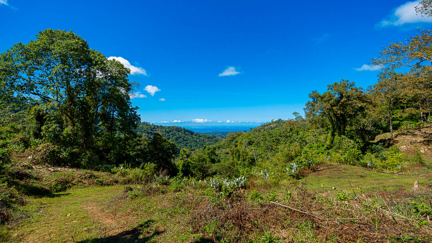 Whale Tail Views Luxury Waterfall Farm selected