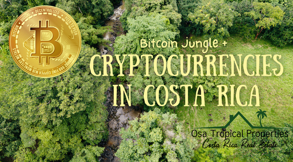 Cryptocurrencies in Costa Rica: Bitcoin Jungle, Crypto Mining, and More