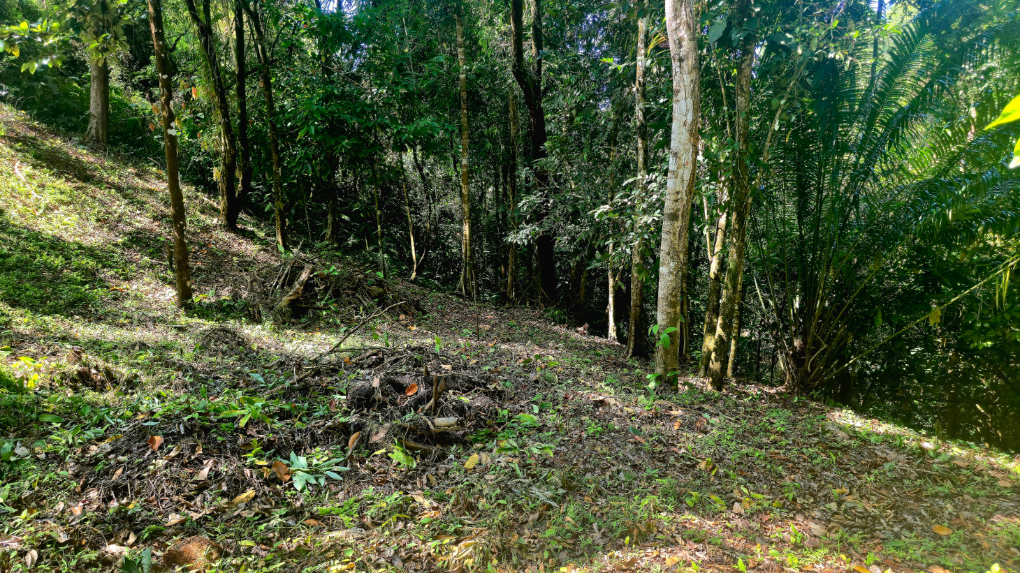 Ocean View Property with River & Waterfall Access – Tres Ríos de Osa selected