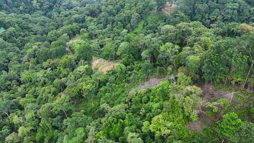 Rare 25+ Acre Opportunity in Uvita selected