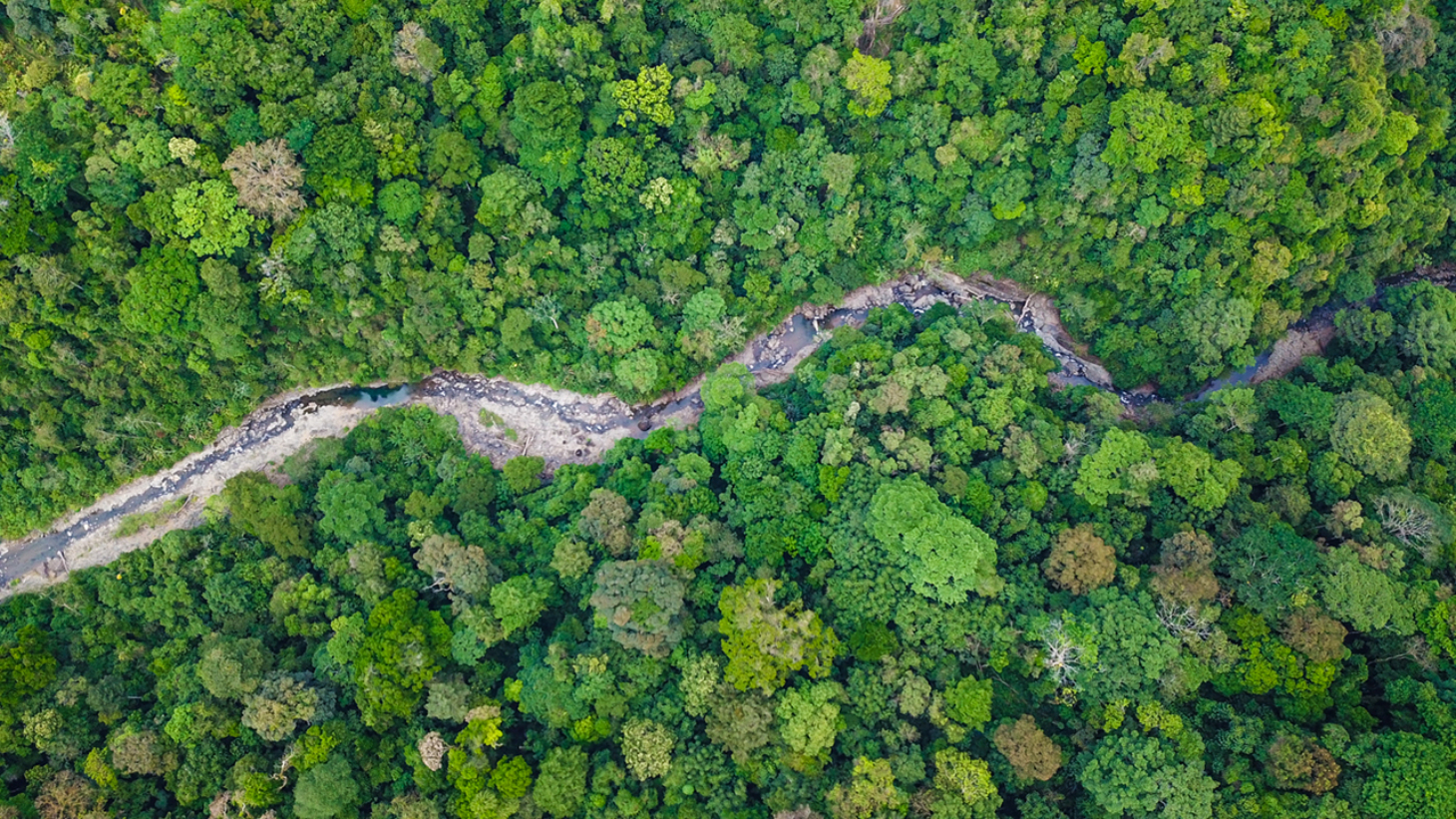Riverfront Property with Primary Forest Close to Uvita Beaches selected
