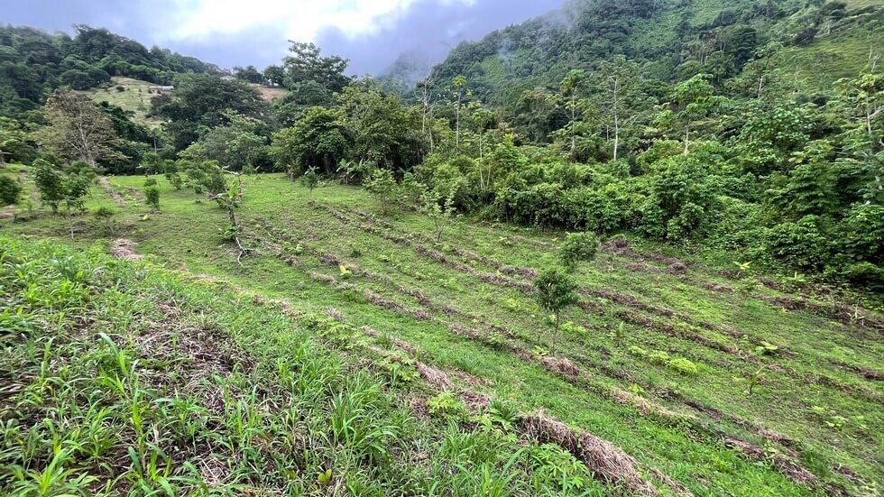 145 Acres With Swimming Holes, Waterfalls And Ocean Views selected