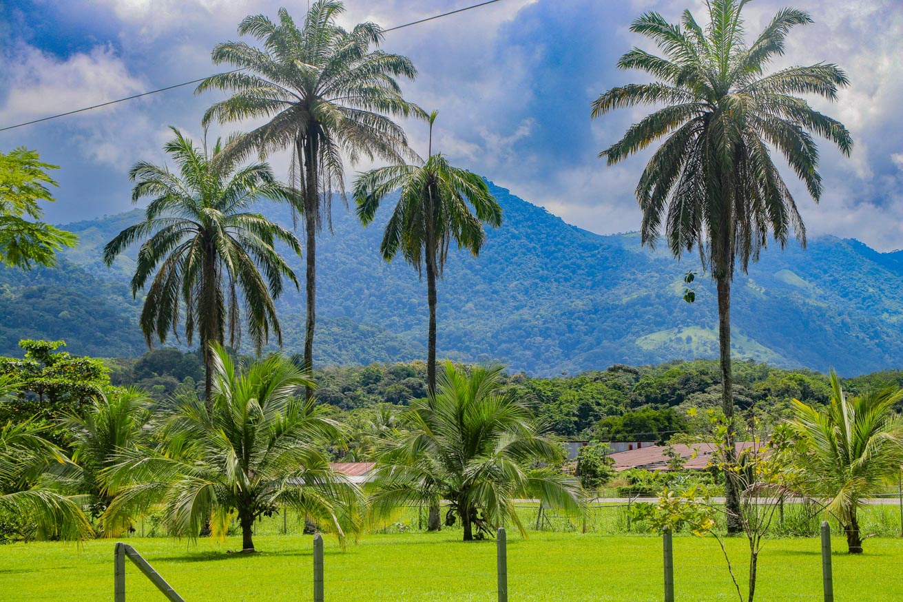 3.7-Acre Airport-Adjacent Property with Direct Runway Access, Prime Zoning, and Mountain Views selected