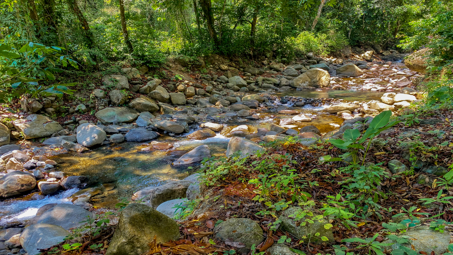 2.46 Acre Jungle Land for Sale in Ojochal with River Border selected