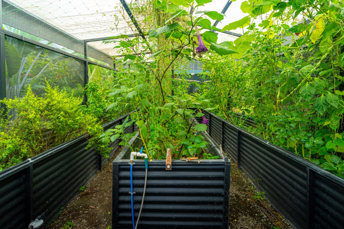 Exceptional Modern 4-Bedroom Family Sanctuary on 1 Acre in Ojochal selected