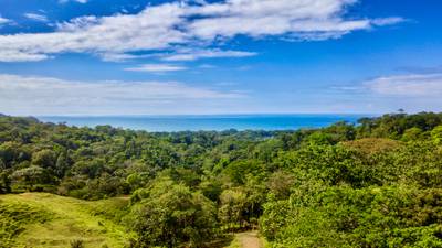 2.24 ACRES – 7 Bedrooms Ocean View Boutique Hotel With Two Pools, 5 Minutes to Uvita, Multiple Rental Options!! image 4