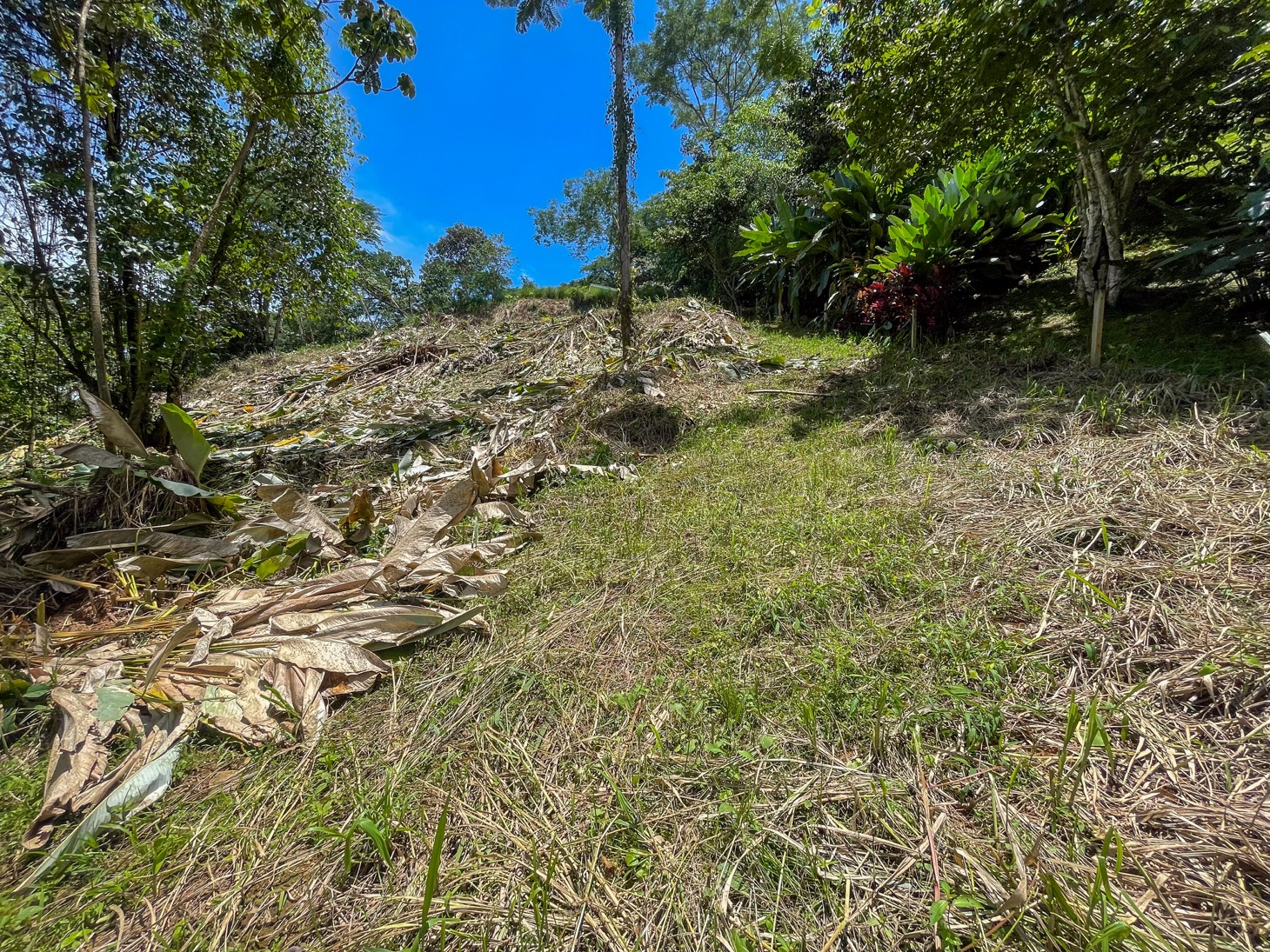 Your Private Mountain Sanctuary Awaits selected