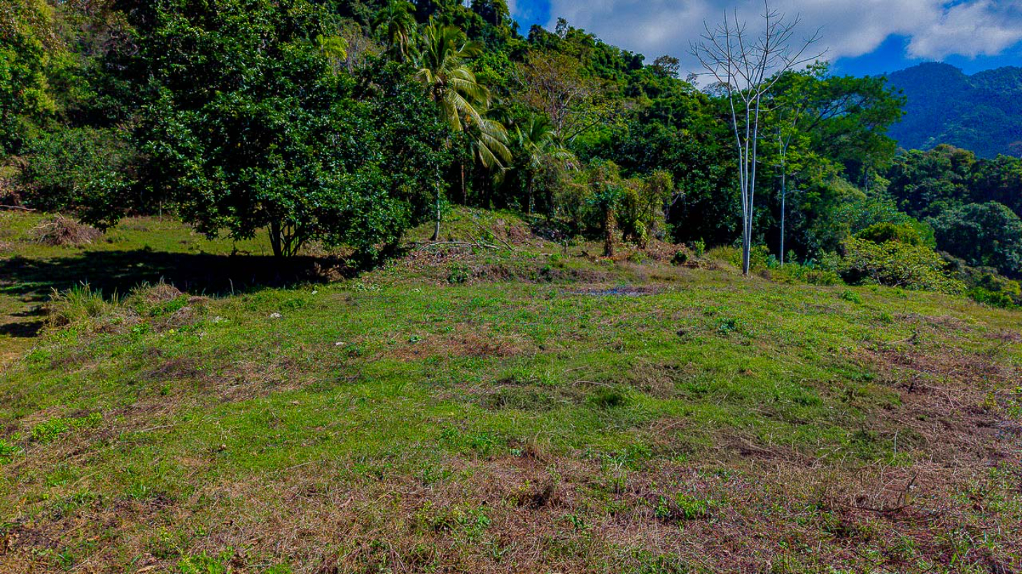 Whale Tail Views Luxury Waterfall Farm selected