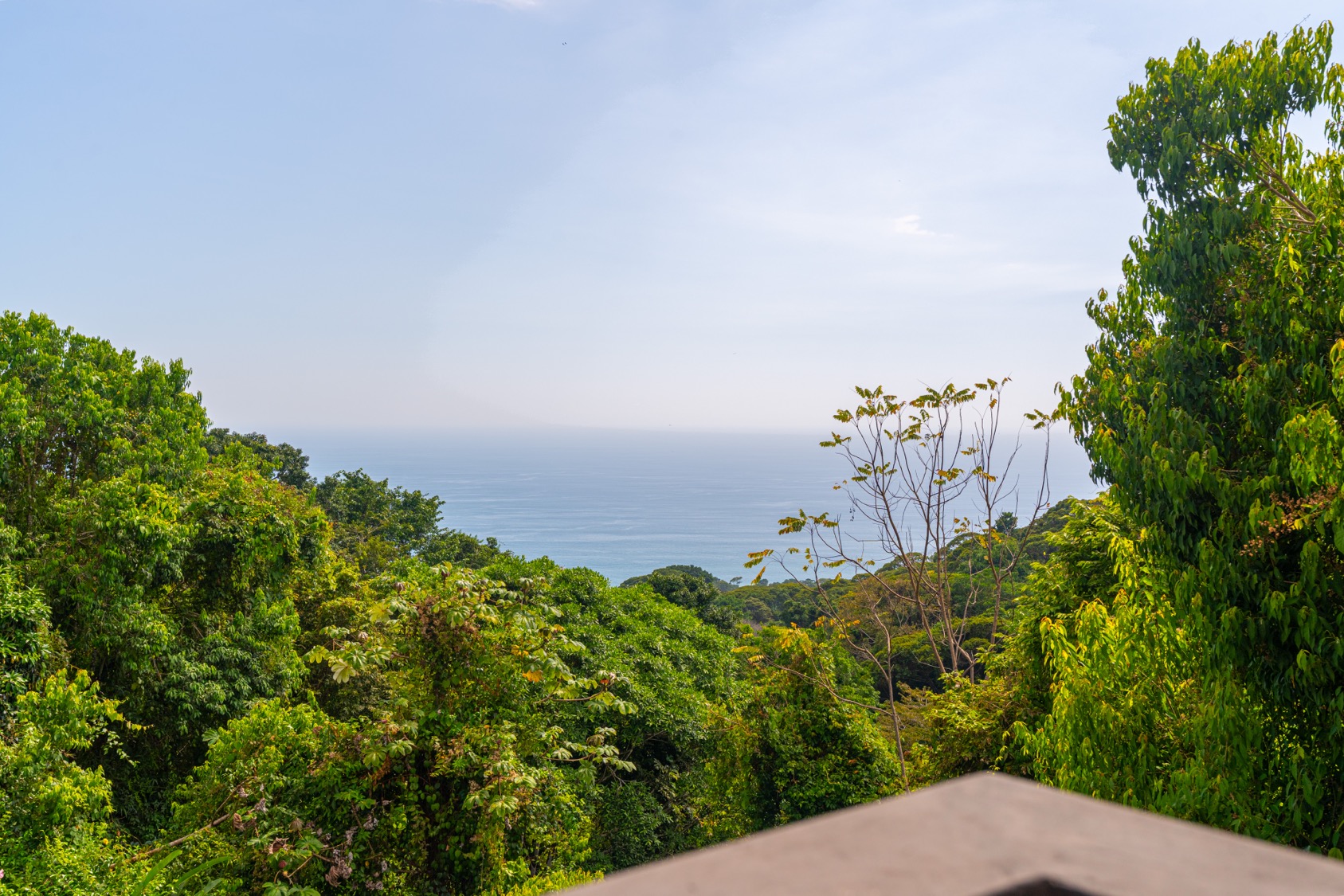 Ocean View Estate in Escaleras with Guest House, Pool & Expansion Potential selected
