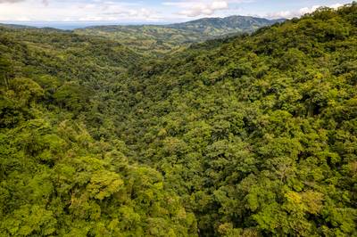 21.3-Acre Waterfall Farm Sanctuary in Costa Rica’s Southern Zone image 5