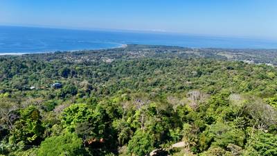 Unique Opportunity, Panoramic Ocean Views of the Whale's Tail Beach! image 2