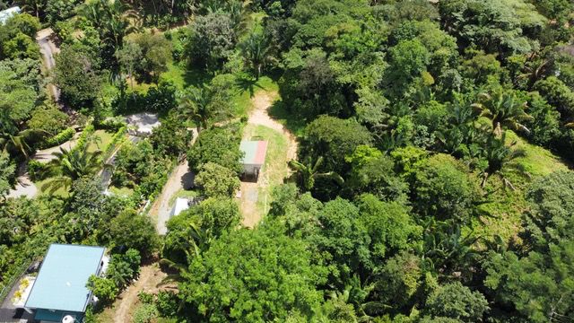 Fixer-Upper with Stream, Forest Views, and Investment Potential in Playa Hermosa selected