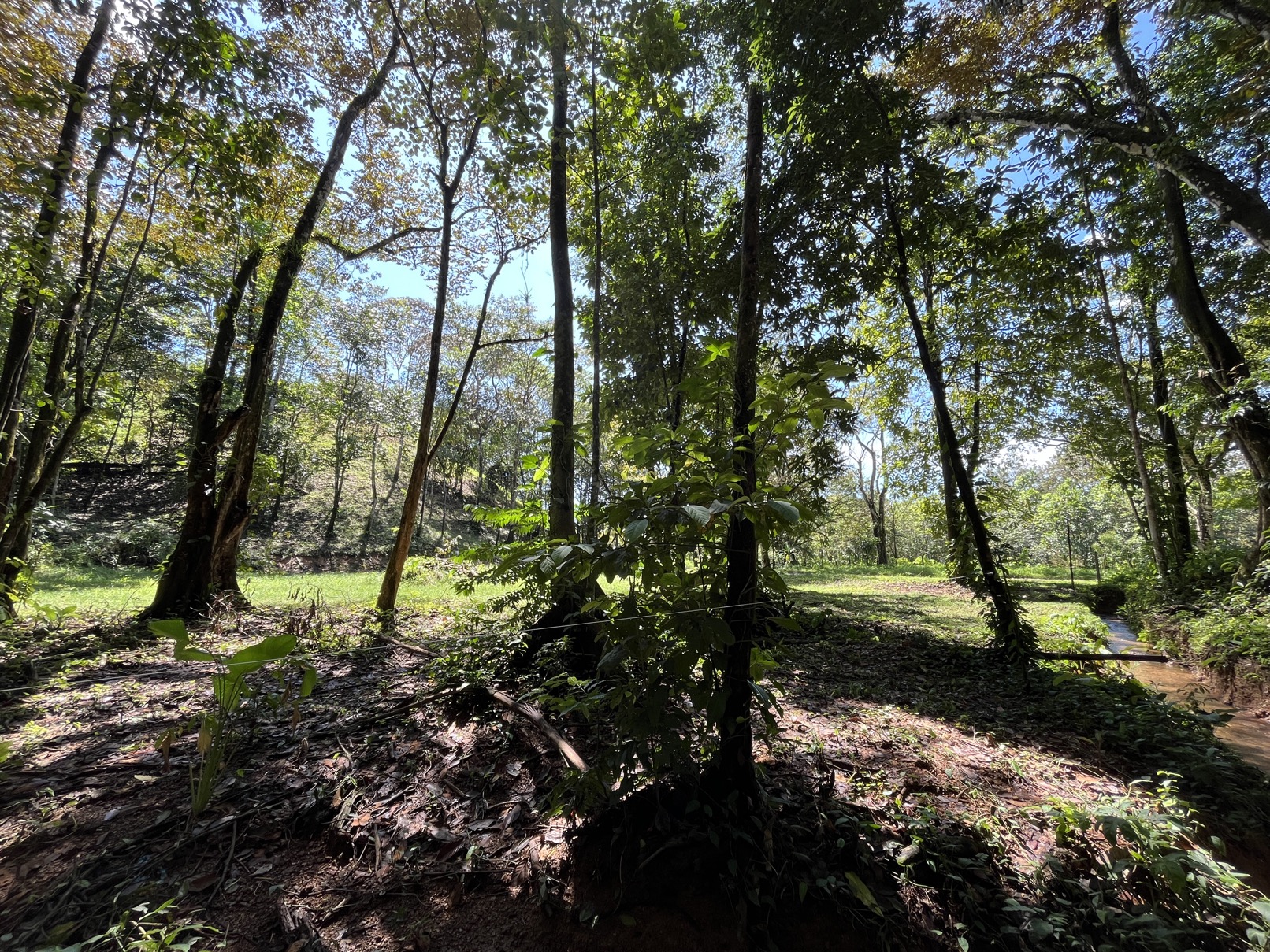 Flat Lot in Tortuga: Your Dream Project Awaits selected