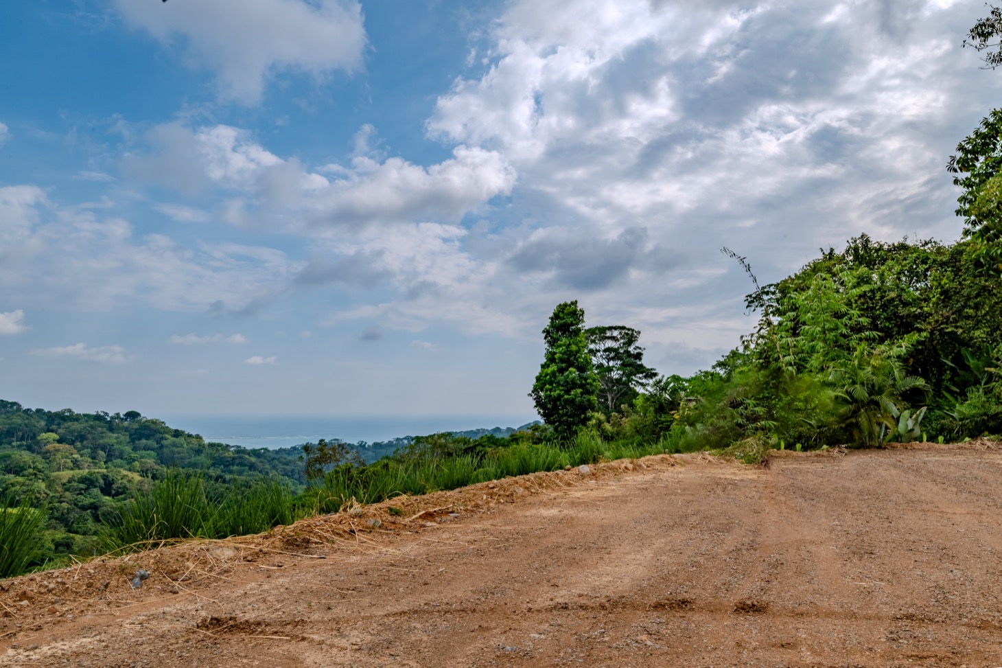 2.3-Acre Ocean View Homesite with Whale Tail Views in San Josecito selected