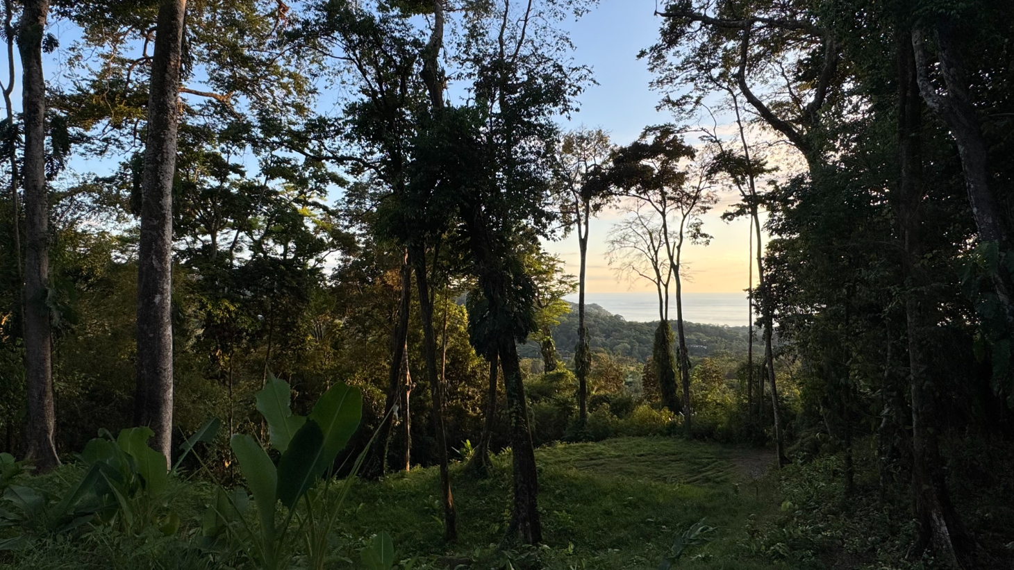 Two Ocean View Lots in Uvita – Easy Access and Large Building Sites selected
