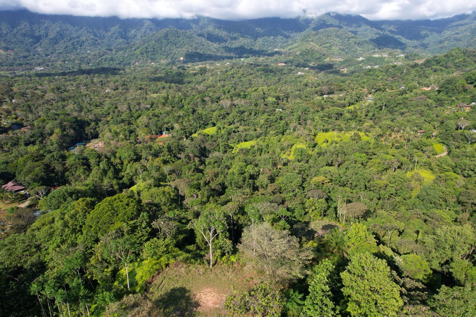 Two Ocean View Properties in Ojochal – 5.33 Acres of Pure Paradise selected