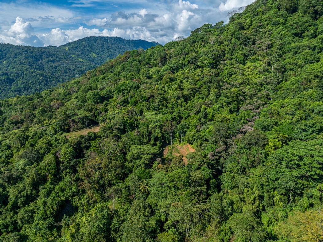 Visionary Ocean-View Estate with Development Potential Near Playa Linda selected