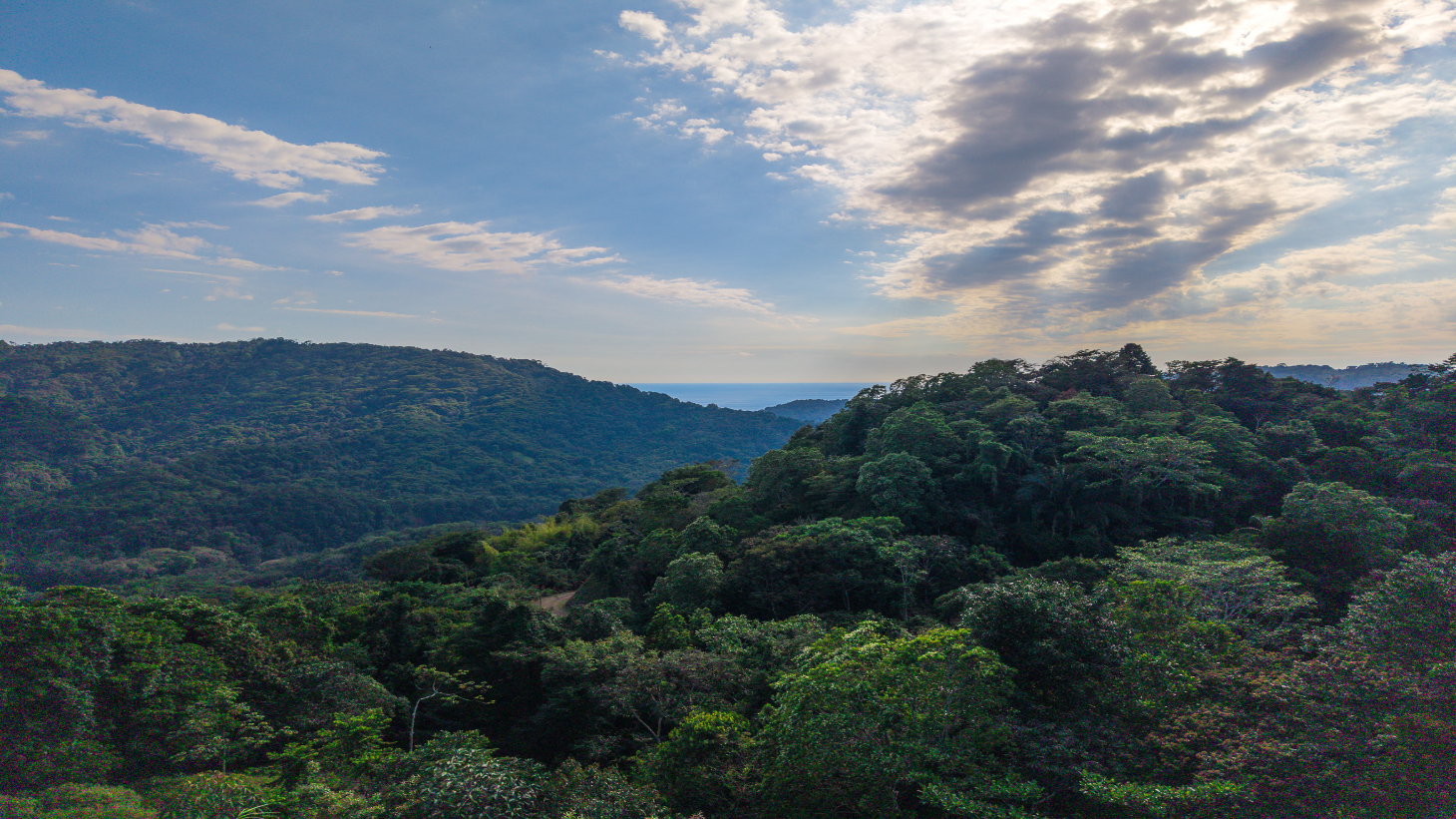 Sunset Ocean View Home on 2.6 Acres Platanillo selected