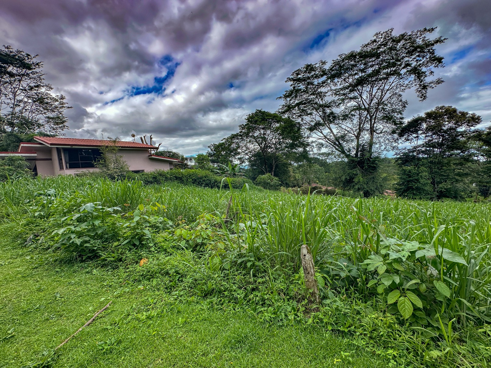 Beautiful Lot in Gated Community with Nearby Creek and Jungle-Covered Valley selected