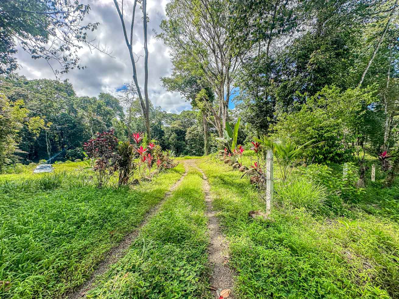 Wonderful Jungle Lot with a Crystal Mountain River Border in Ojochal selected